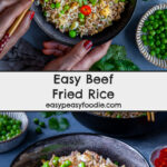 Beef Fried Rice Pin