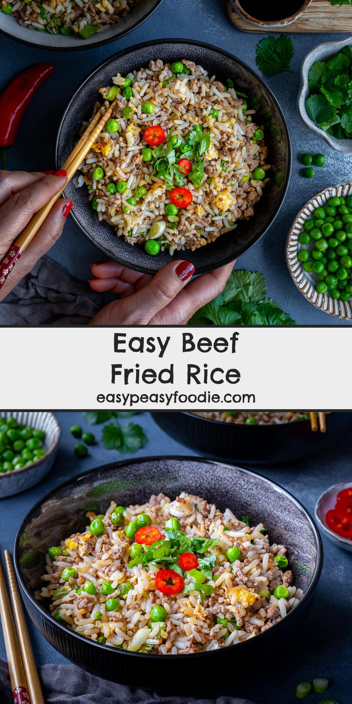 Beef Fried Rice Pin