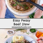 Easy Peasy Beef Stew Pin