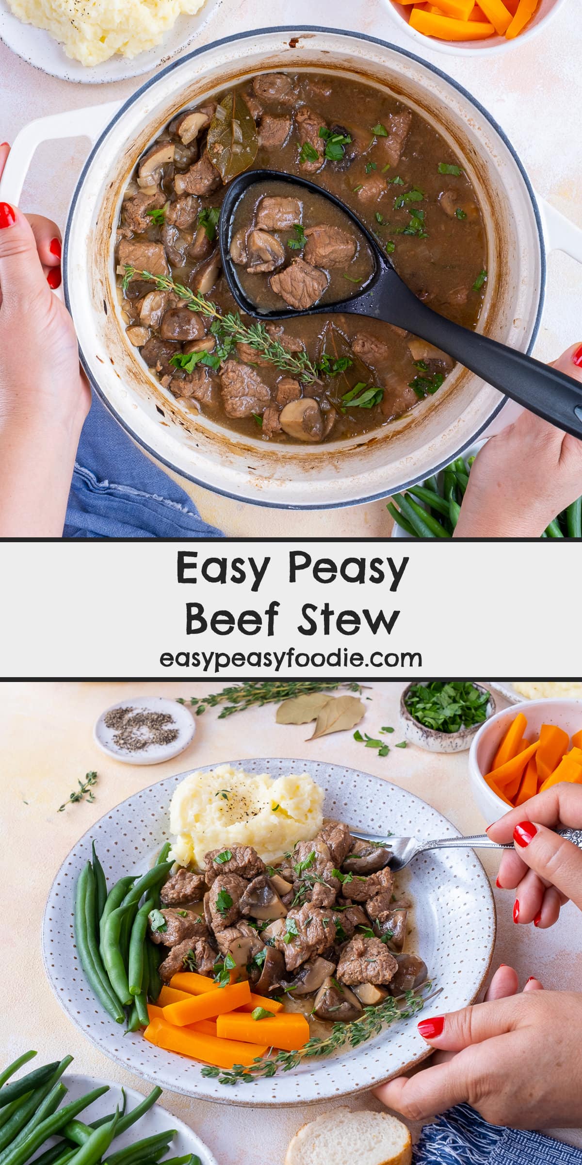 Easy Peasy Beef Stew Pin