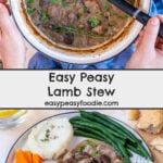 Easy Peasy Lamb Stew Pin