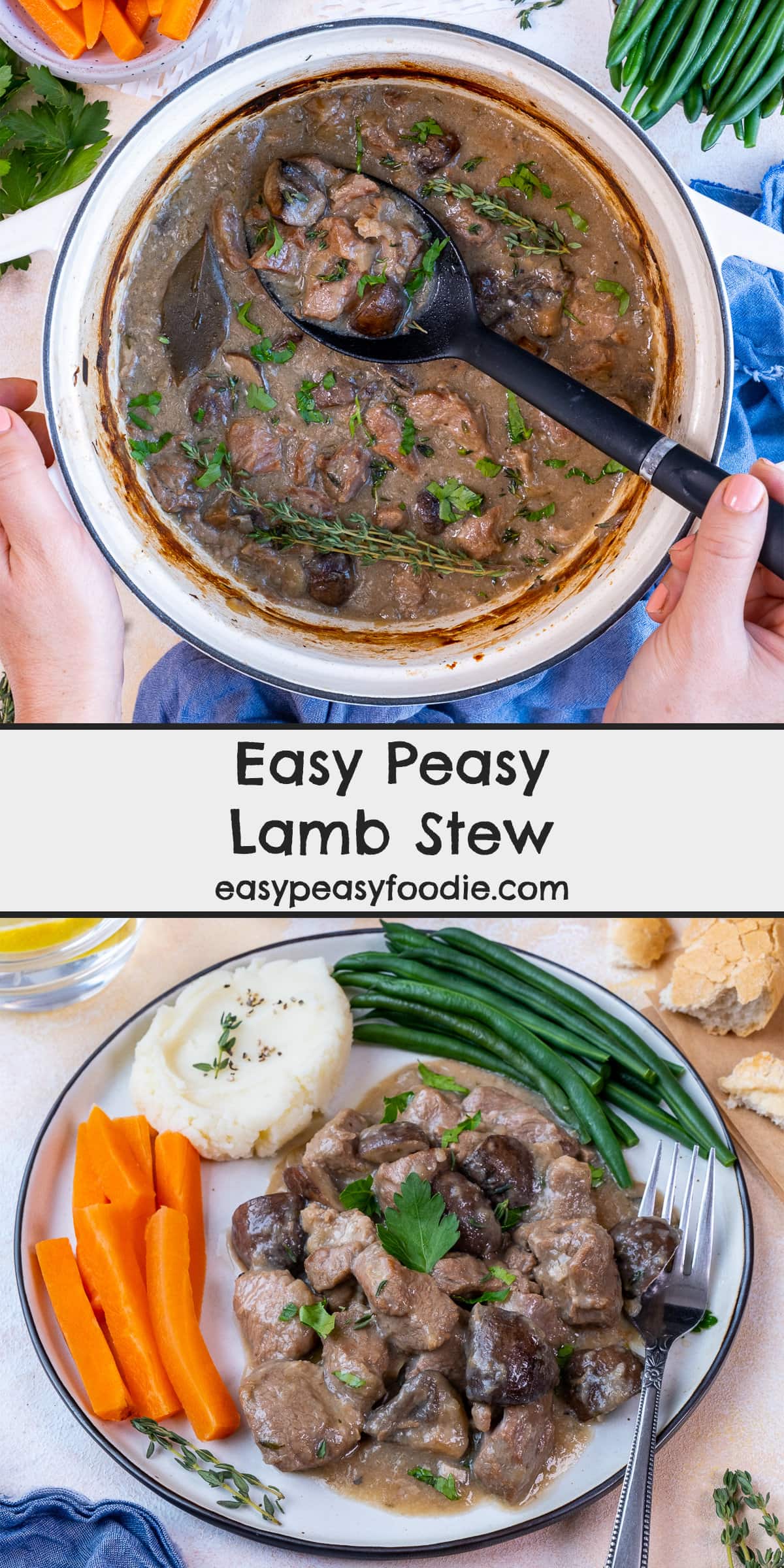 Easy Peasy Lamb Stew Pin