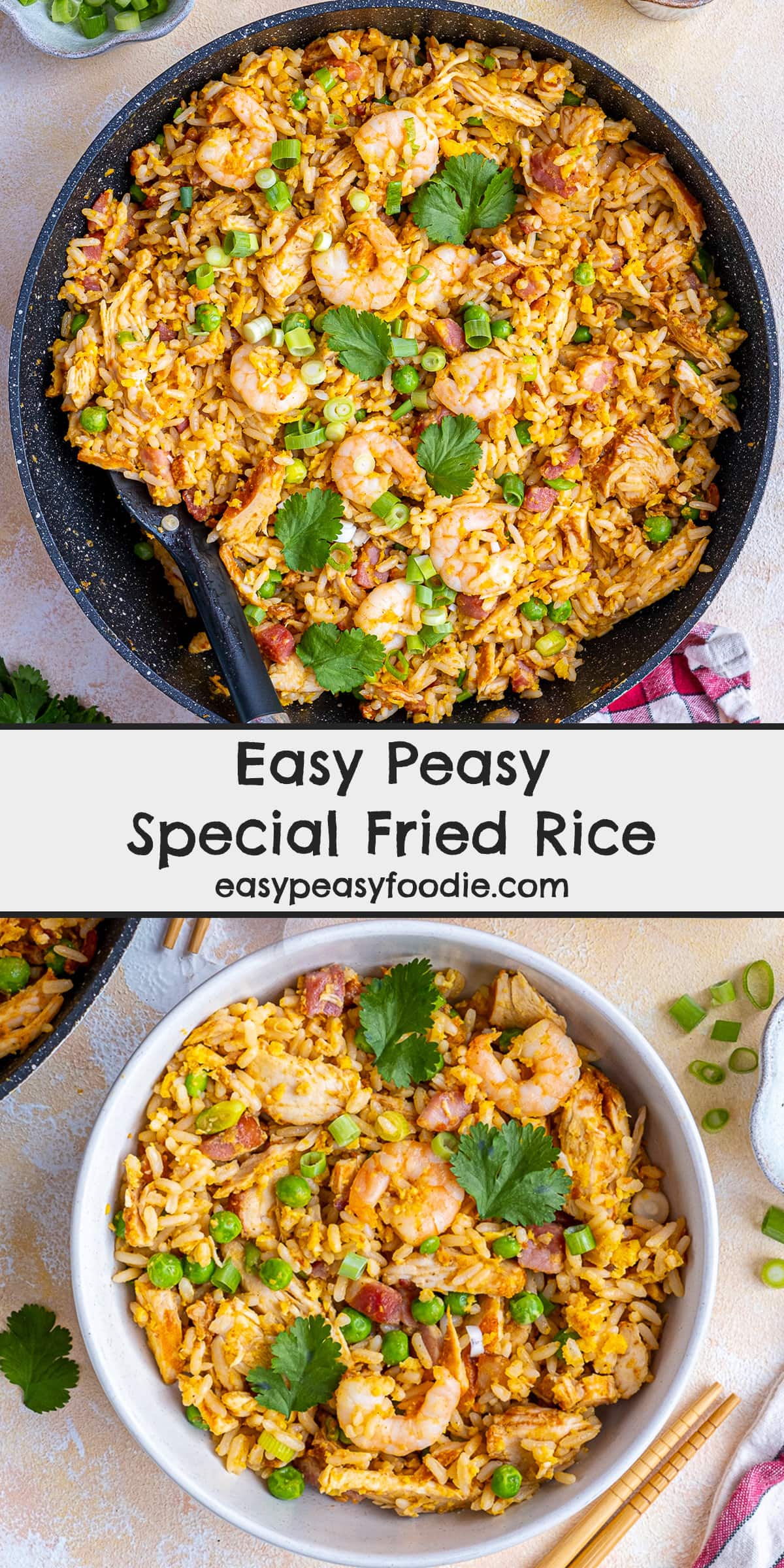 Easy Peasy Special Fried Rice Pin Image