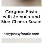 Gargano Pasta with Spinach and Blue Cheese Sauce