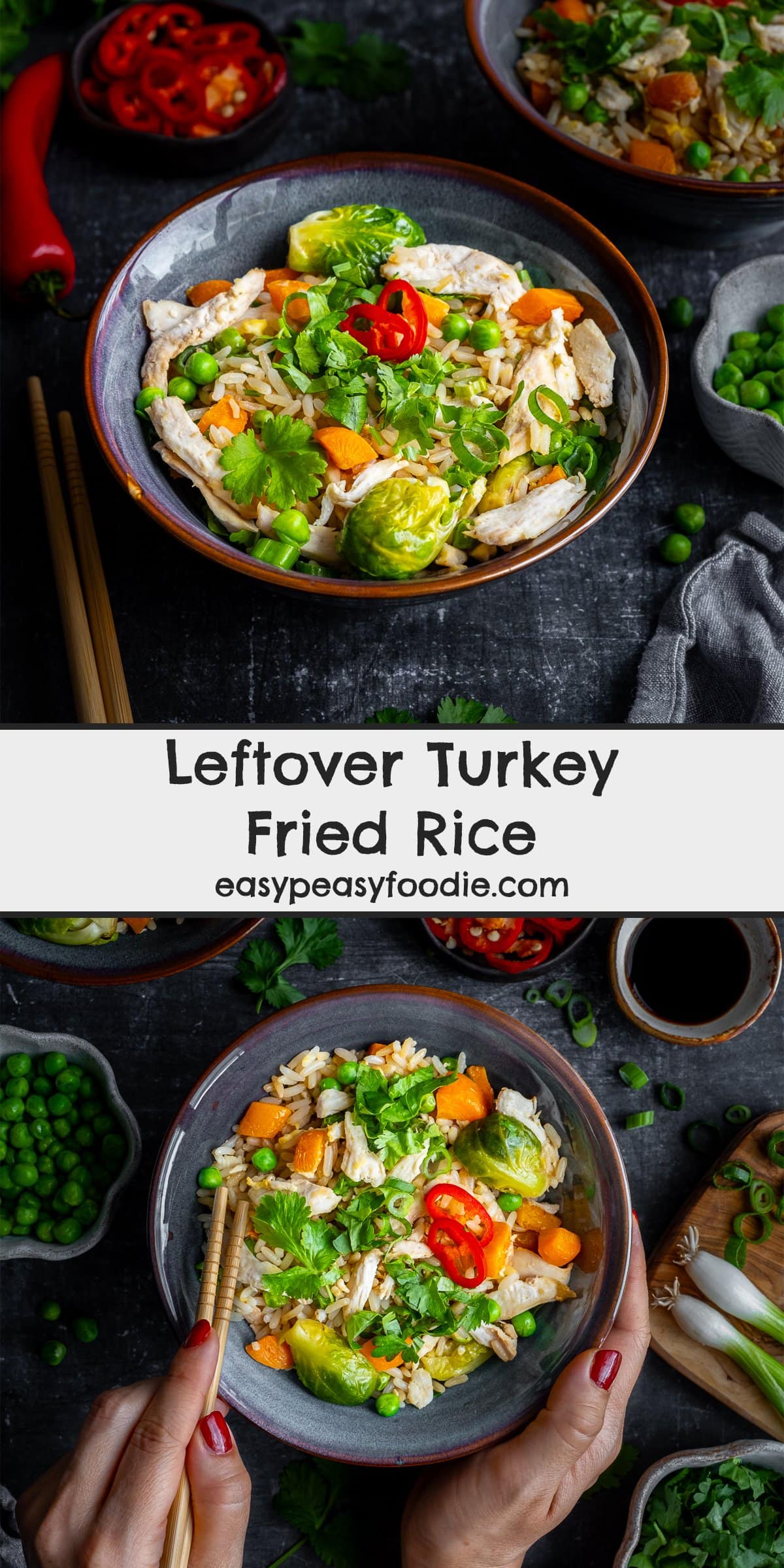 Leftover Turkey Fried Rice Pin