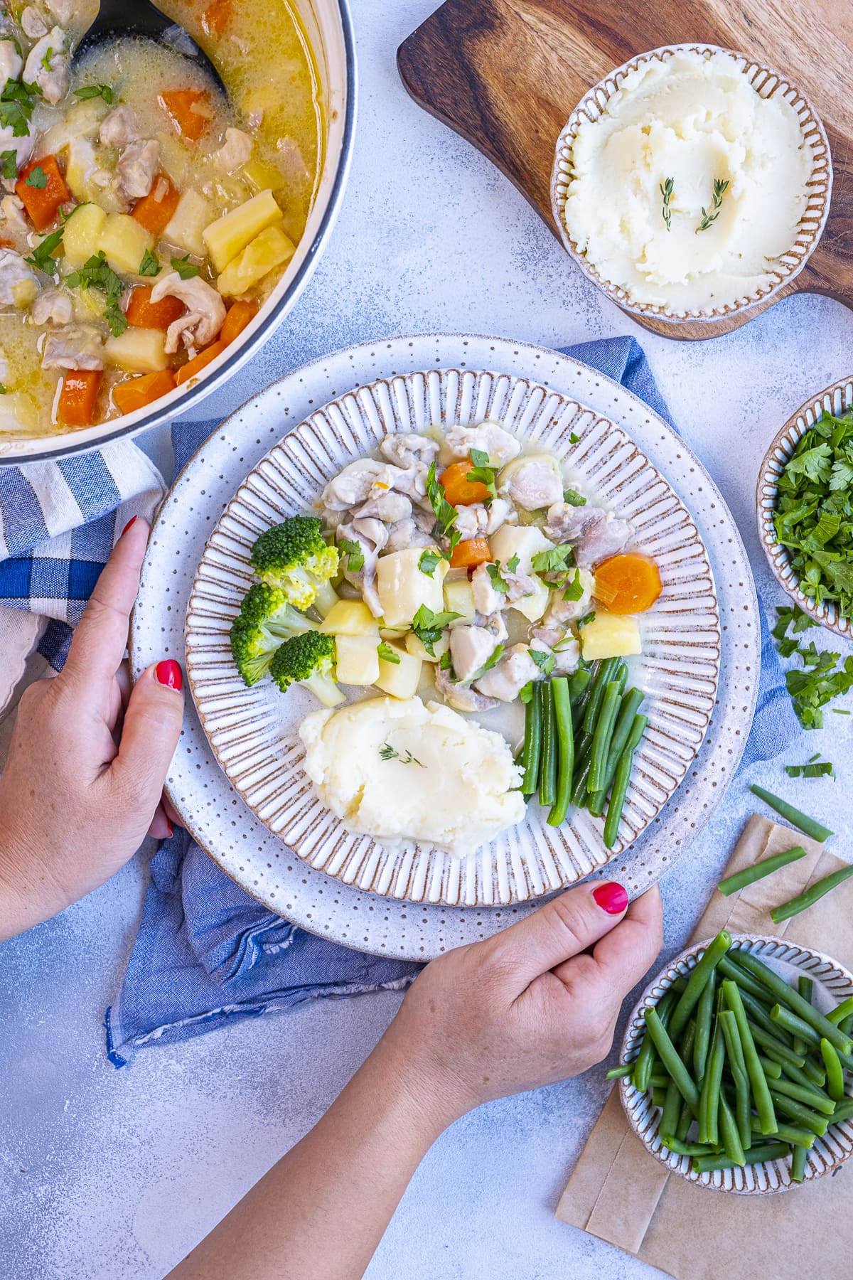 Quick Chicken Stew on a plate with vegetables being held by 2 female hands