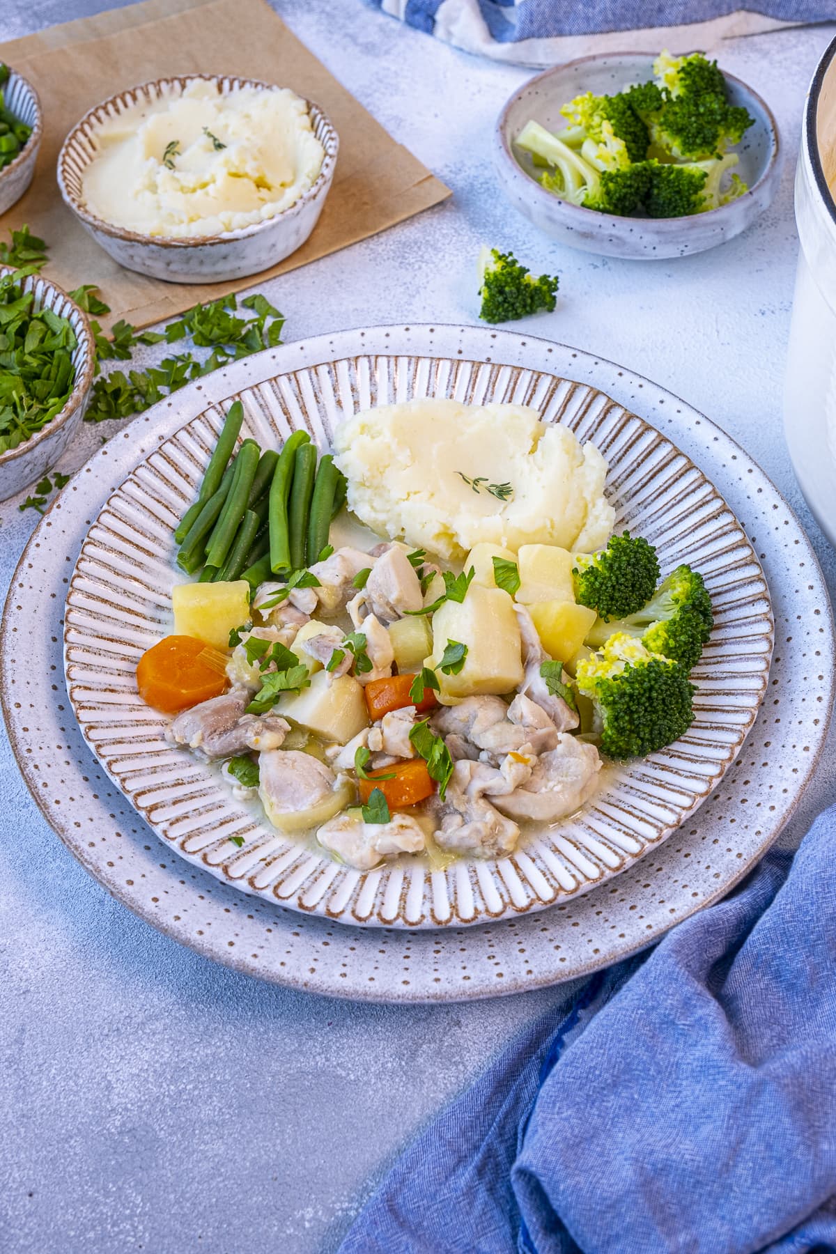 Quick Chicken Stew on a plate with vegetables