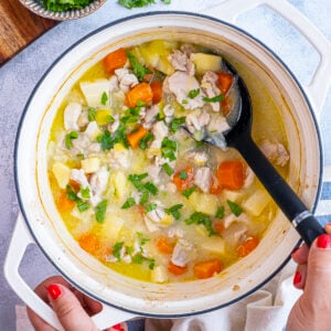 Quick Chicken Stew