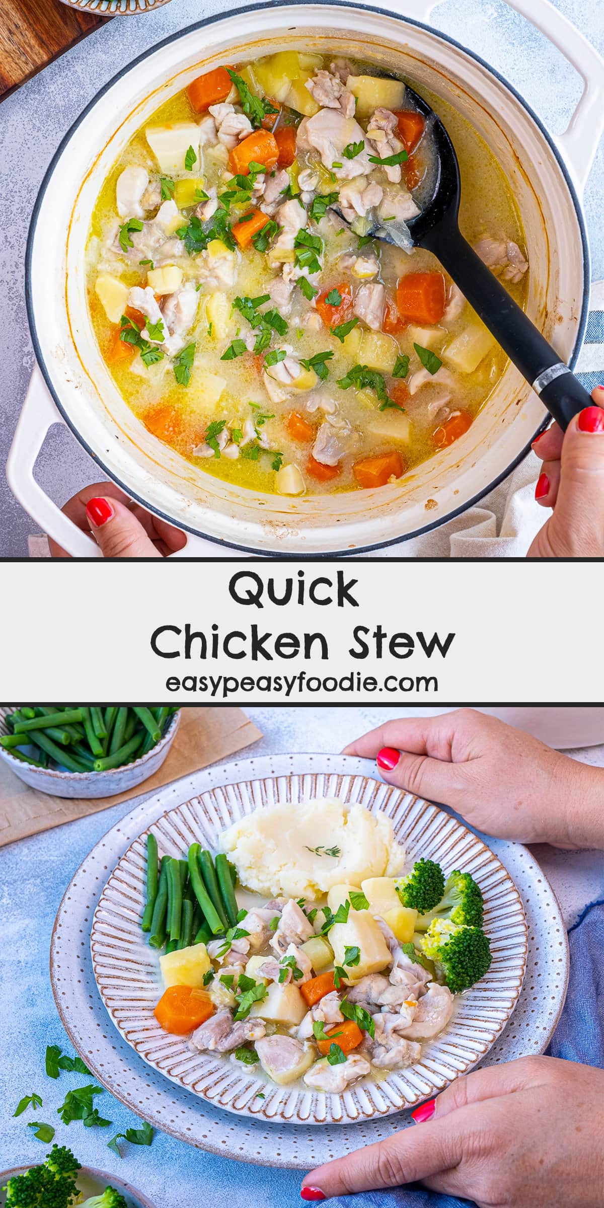 Quick Chicken Stew Pin